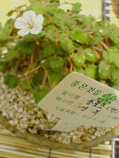 크게보기